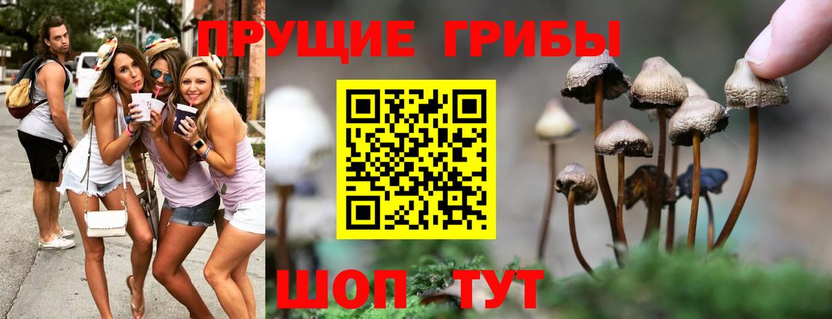Галлюциногенные грибы мицелий Саянск